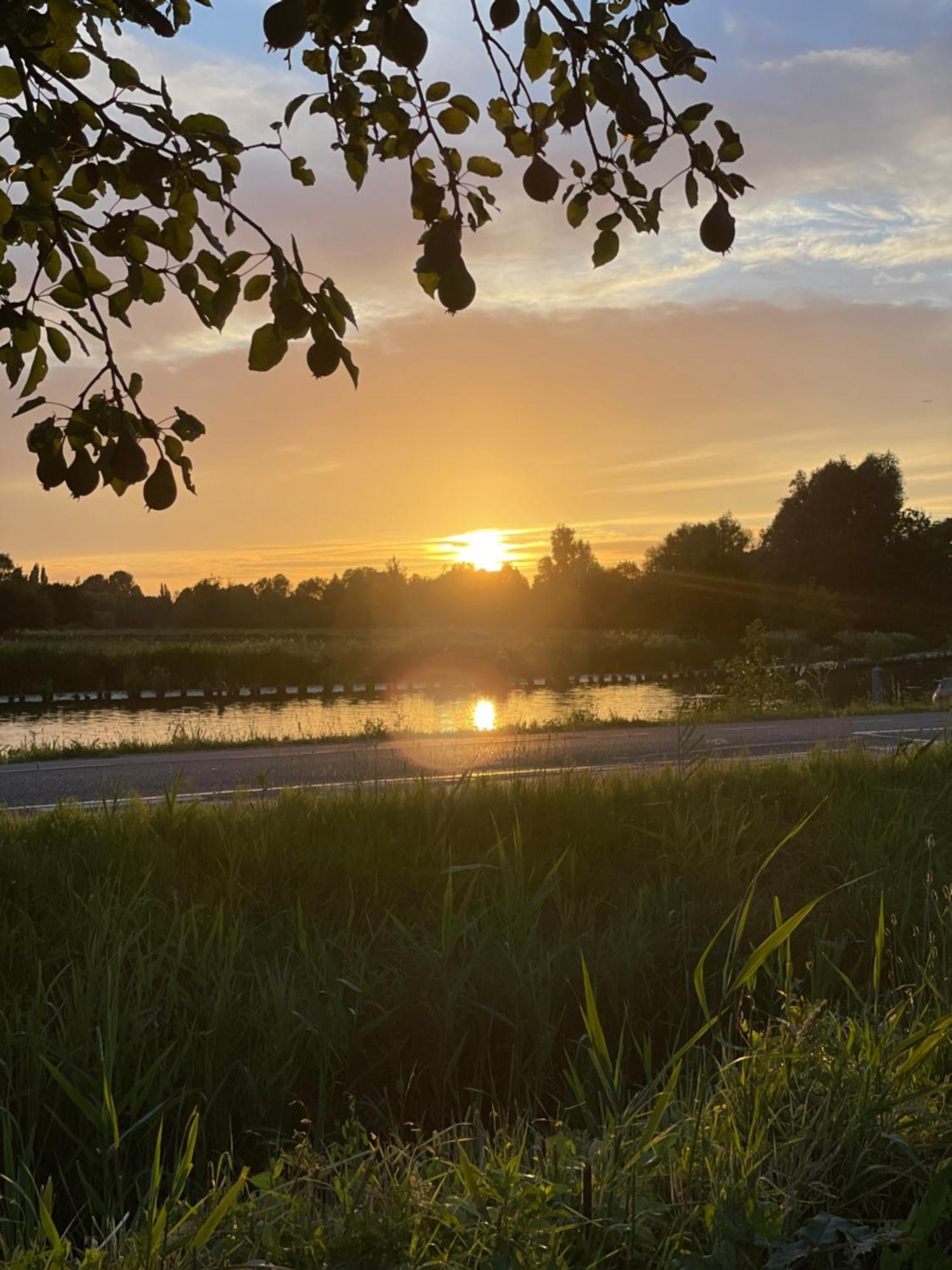 The Riverside Logies & Restaurant Maarssen Eksteriør billede